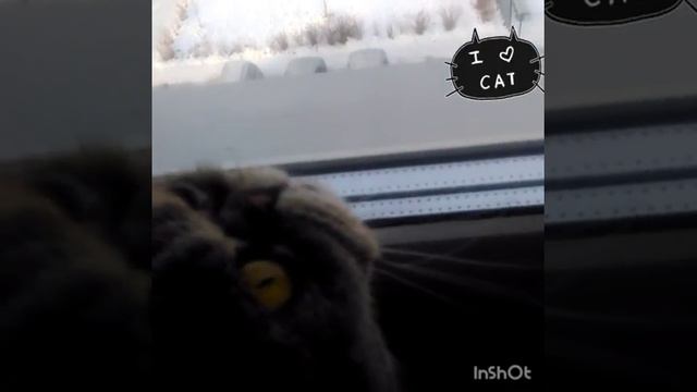 Детство (2часть) детство проходит,пора расстаться с прошлым