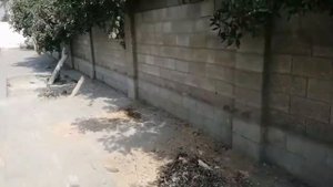 Пакистан. Карачи.