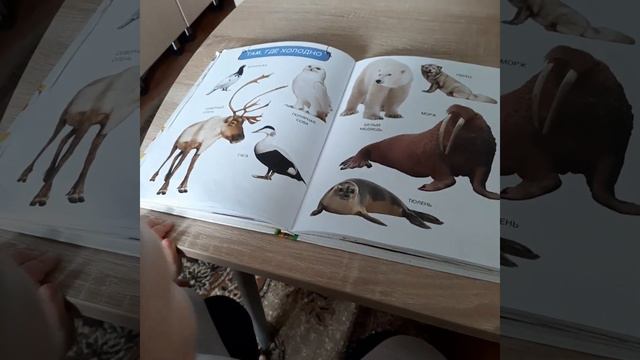 Развивающие занятия смотреть онлайн