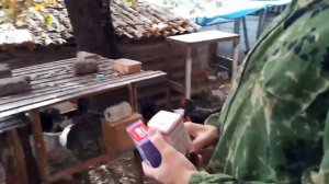 Кокцидиоз у кроликов симптомы,лечение и профилактика.