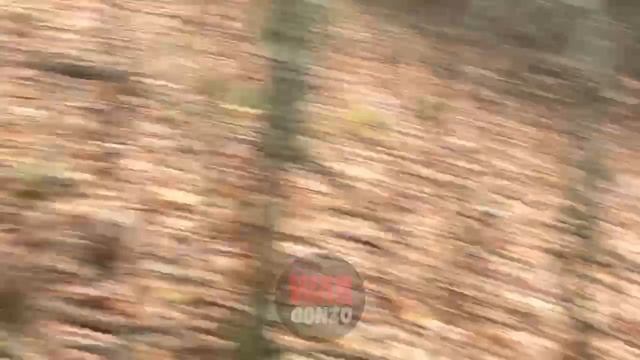 ⚡️Видео⚡️Как Русский Легион готовит контратаку под Кременной⚡️