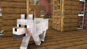 Monster School : Baby Herobrine and Dog - Sad Story - Minecraft Animation