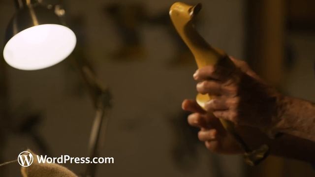 WordPress.com:  The World Is Waiting (30) смотреть онлайн