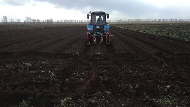 Посев моркови сеялкой точного высева. смотреть онлайн