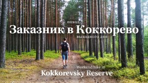 Поход выходного дня в окрестностях Питера: Коккоревский заказник, пионерлагерь Ладожец, мыс Сосновец