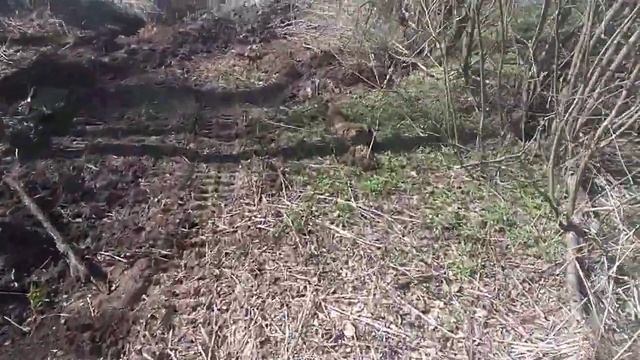 Чистка Канавы Рощино, аренда мини экскаватора + ямобур. смотреть онлайн