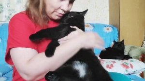 Пора когти стричь ?