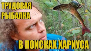 Трудовая рыбалка в Кузбассе. Хариус на мормо.