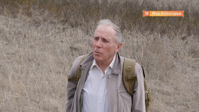 В белгородских лесах зацвели первоцветы смотреть онлайн