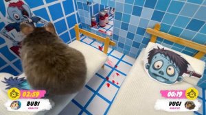 Hamster Fighting Zombie ? Hamster Obstacle Hospital Maze by Hamsters Show