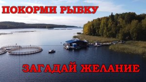 Электричество в доме на воде. Монтируем солнечные батареи в рыбном хозяйстве.