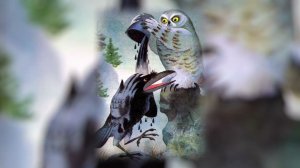 41 КАК ВОРОН И СОВА ДРУГ ДРУГА ПОКРАСИЛИ - Эскимосская Сказка - Читает Елена Авсеенко