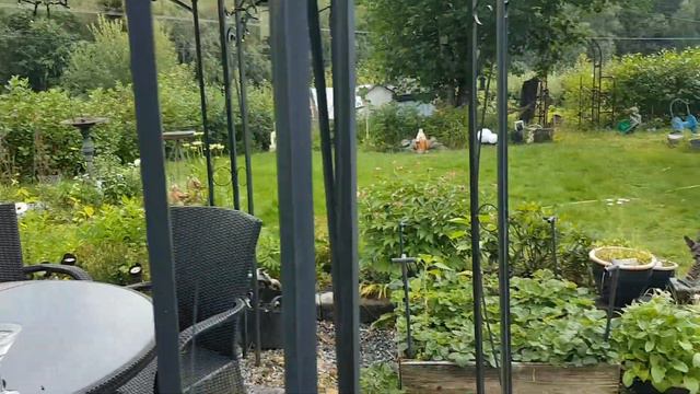 Summer 2021 part 2: The White Garden July Mystic Dreamer's Garden Cold Climate Permaculture смотреть онлайн