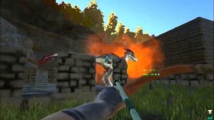 Можно ли приручить альфа - раптора (видео № 1)