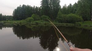 #346 #Нахлыст  | Плотва, окунь |