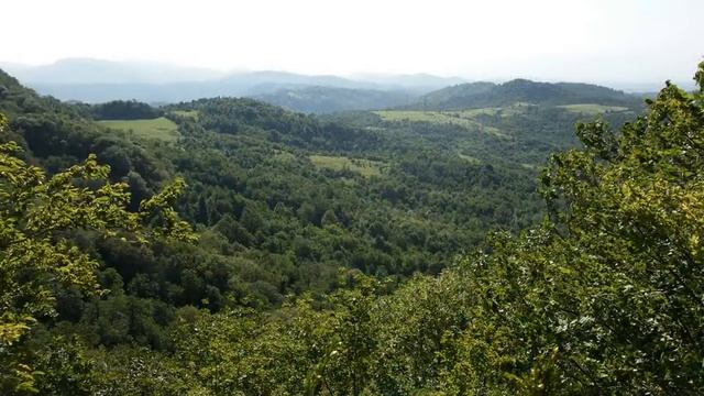Грузия. Заповедник Сатаплия. смотреть онлайн