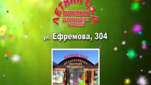 ЛЕТНИЙ САД февраль 2015 смотреть онлайн