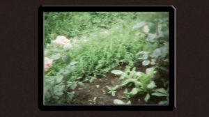 Дача 1990