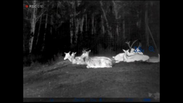 Termokaamera Pulsar Axion XQ38 - Zoom 2 смотреть онлайн