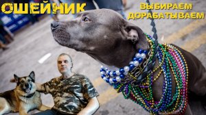 Как выбрать надежный и удобный ошейник для собаки. Дорабатываю ошейник / Собаки / Амуниция
