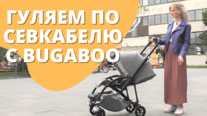 Прогуляемся с колясками Bugaboo Fox 2 и Bee 5 и узнаем, какие коляски выбирают другие мамы и почему?