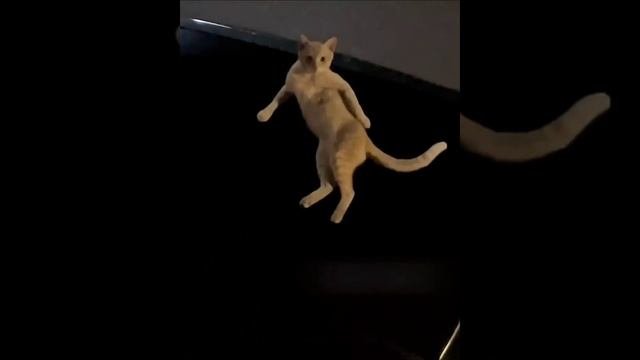 Соблазняет ?