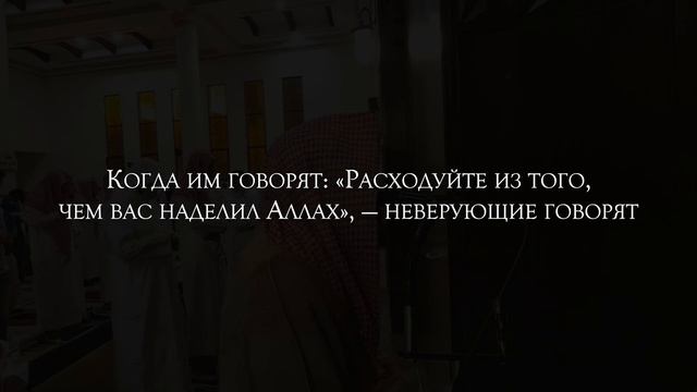 Мухаммад Аль Люхайдан. Сура «Ясин».