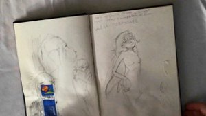 Обзор скетчбука ! Коты воители ⭐️⭐️