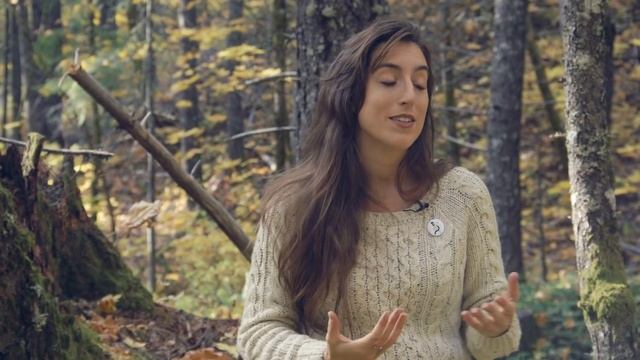 Toxic or Edible?? Amanita muscaria and other Mushroom Forager FAQ, Part 2 - S2E5 смотреть онлайн