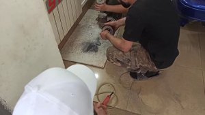 Удалил катализатор на Киа Рио. Что стало с катализатором спустя год и пробега 67000. Kia Rio в такс