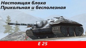 Обзор Е 25 Танк с печальной участью | Tanks Blitz