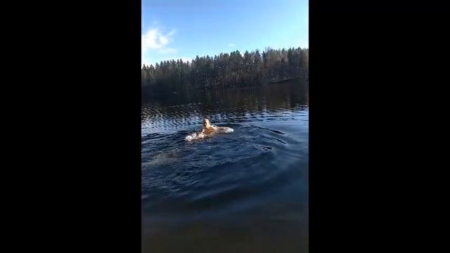 Ястребиное, лучшее место