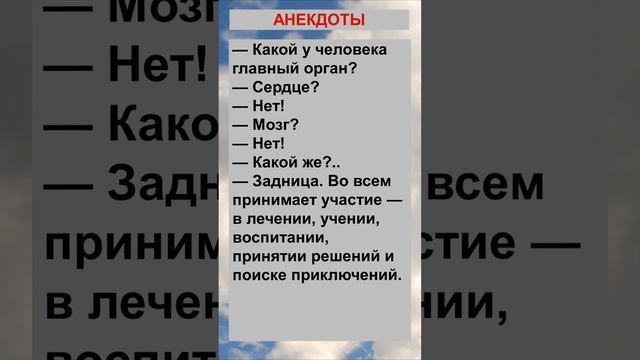 Какой у человека главный орган?... Анекдоты! Шутки! Приколы!