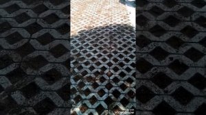Укладка газонной плитки
