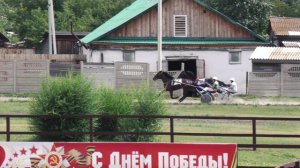 9.07.2022г.Абакан Групповой заезд Для лошадей 3-х лет Рысистых пород