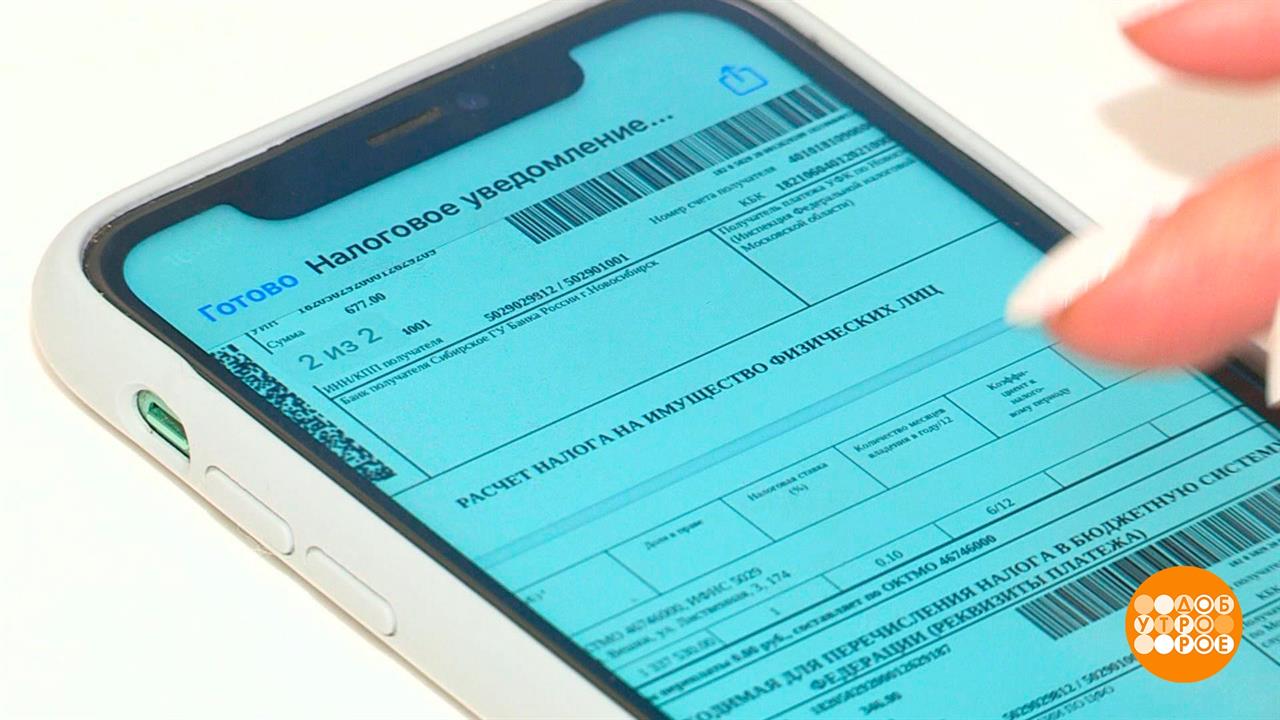 Налог на недвижимость: считаем все! Доброе утро. Фрагмент выпуска от 04.10.2023