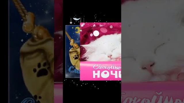 ДОБРОЙ НОЧИ, СЛАДКИХ СНОВ ! ? #добройночисладкихснов смотреть онлайн