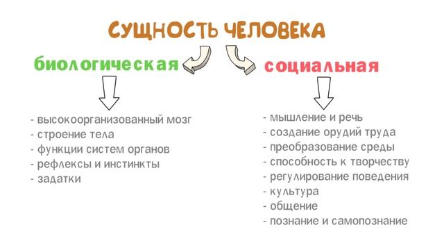 Природное и общественное в человеке егэ план