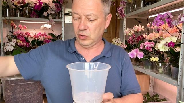 пересадка орхидей в ТРИФЕРН с КОРОЙ и обработка стимулирующим фунгицидом орхидеи без корней