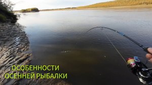 ЩУКА НА БУЛЮ / ОСОБЕННОСТИ ОСЕННЕЙ РЫБАЛКИ В СИБИРИ #рыбалка #щука #спиннинг #fishing #pike