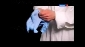 Домашние паразиты
