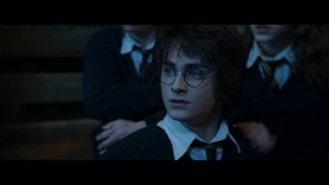 Harry Potter in 99 Seconds (HD)
