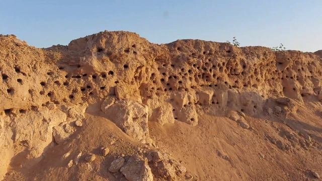 АЙДАРКУЛ СИЗ БИЛМАГАН ЖИЗЗАХ ФАКТЛАР AYDARKOL ТУСКОН