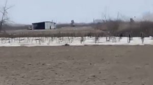 Запорожье 28.02.2022 /с. Б. Белозерка Запорожская область/ стоят заряженные катюши и грады