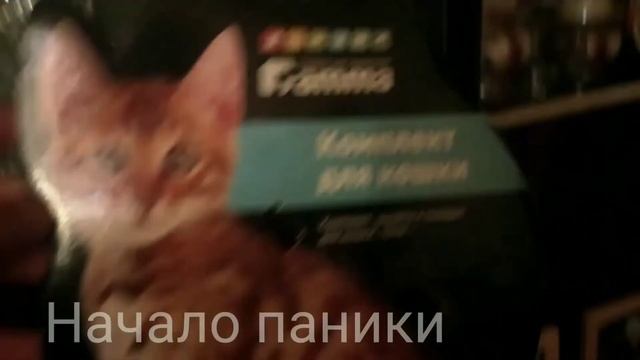 Что Будет Если Не Спать 41 Час? | Депривация Сна