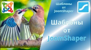 Шаблоны от JoomShaper с SP Page Builder для сайта на Joomla. Официальный сайт JoomShaper.com