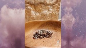 ~|видео для ведьмочек и травниц из ТТ|~