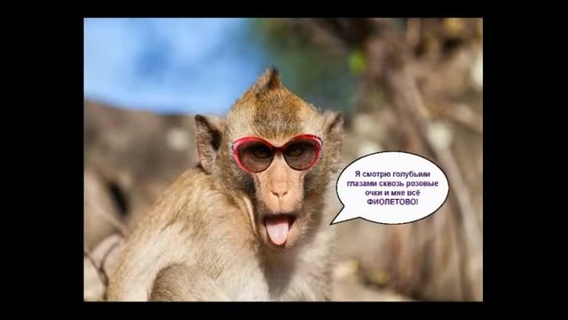 Встречайте! Картинки-приколы #4! ОБЕЗЬЯНЫ! смотреть онлайн