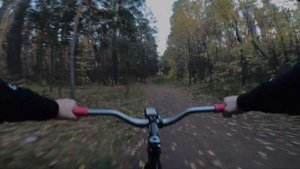 FIXED GEAR. прокатился по лесу, 7 лет катаюсь на фиксе