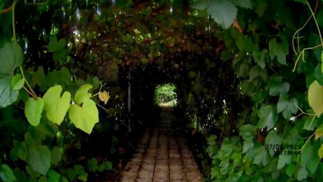 Благовещенский велоклуб "Два колеса". Велопоход по китаю. смотреть онлайн